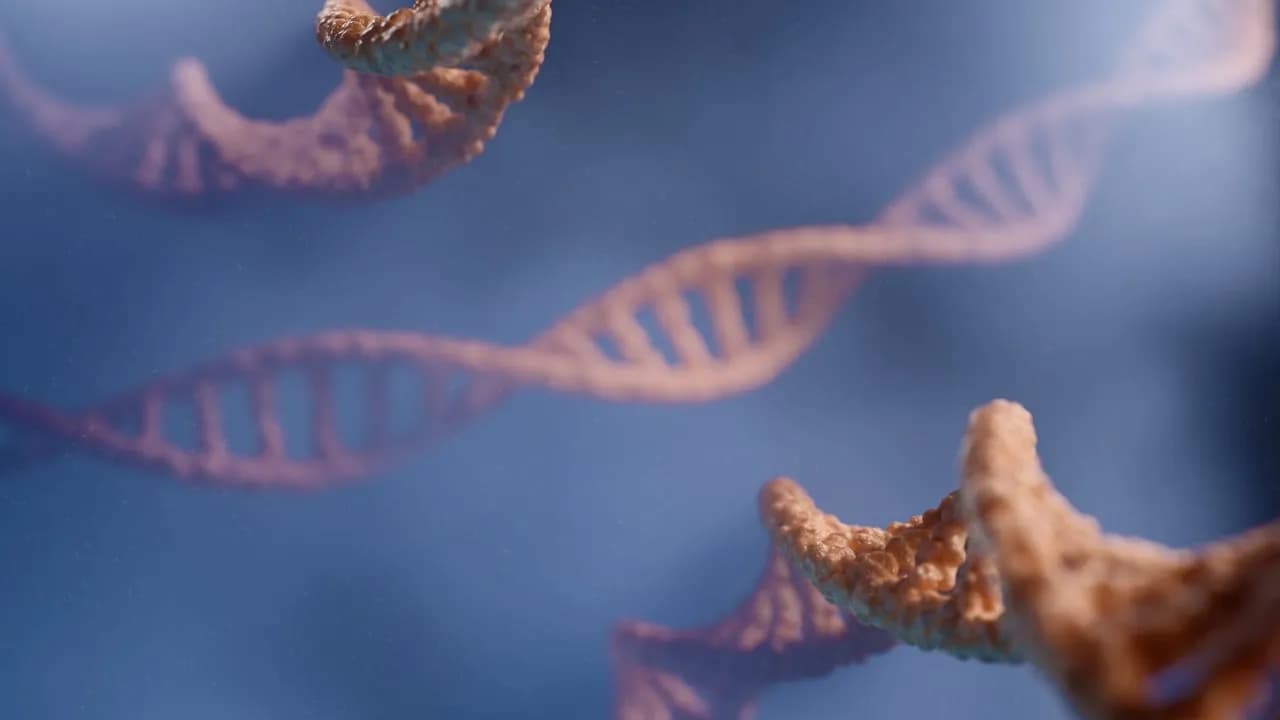 Pharmacogenomics: Why Your DNA Determines How Medicines Work